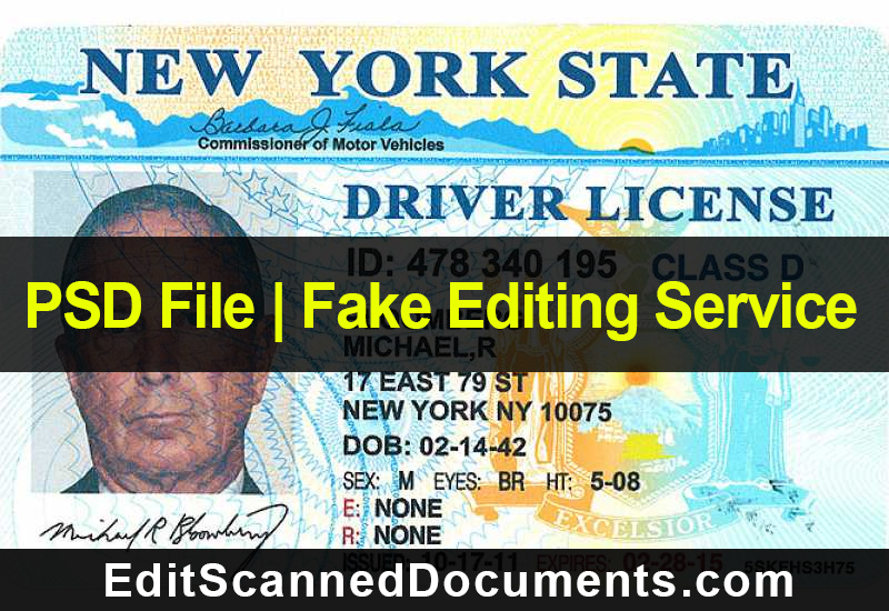 template new york drivers license photoshop